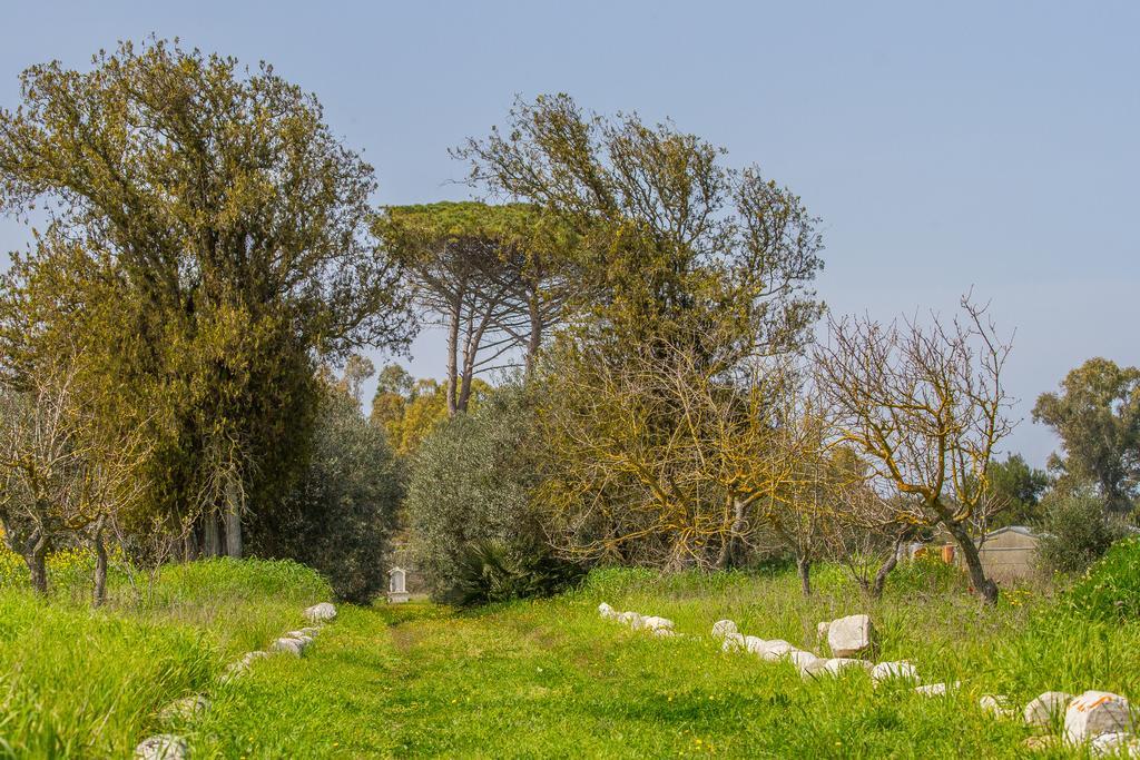 B&B Villa Spada Donadeo Lequile Buitenkant foto